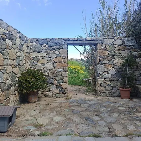 Rahes Kofini Panormos (Mykonos)